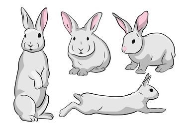 Cute Rabbit Illustration Set 