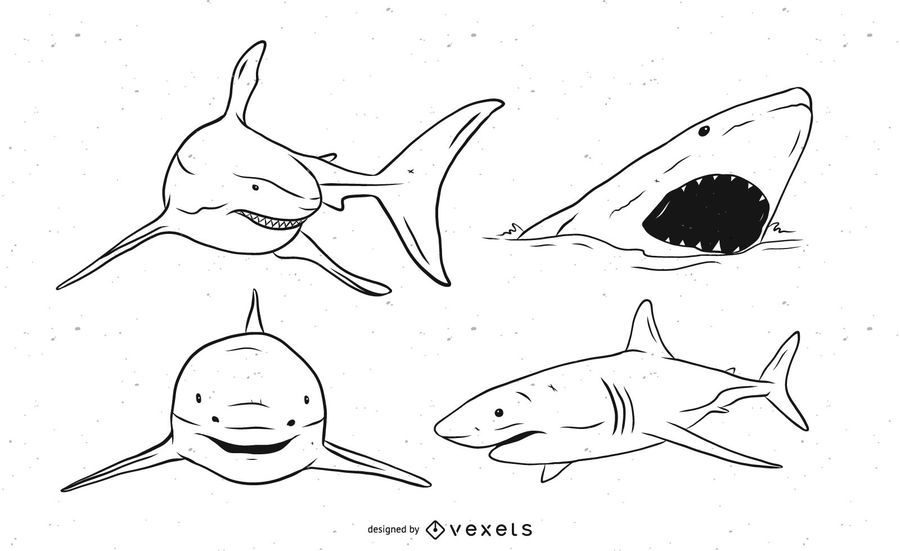Black and White Shark Vector Set Black and White Shark Vector Set