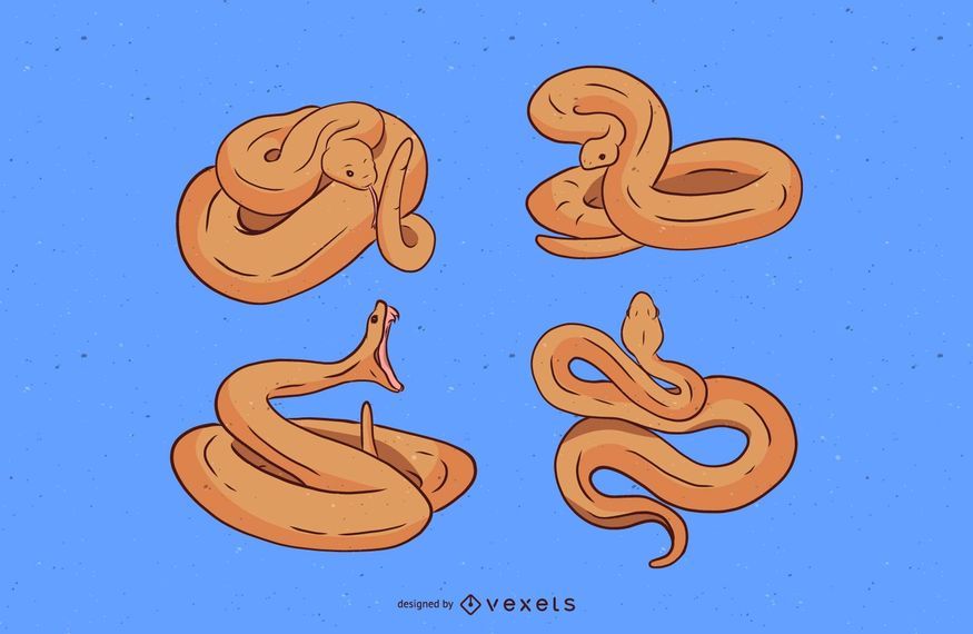 Snake Illustration Set Snake Illustration Set