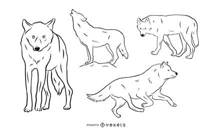 Conjunto de ilustración de lobo