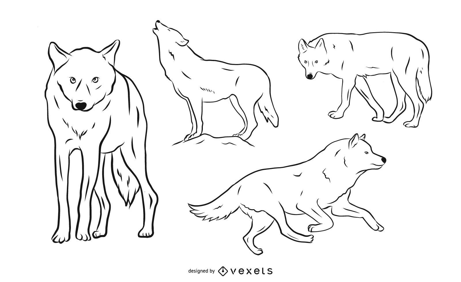 Conjunto de ilustração de lobo