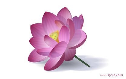 Ilustração realista da flor de lótus