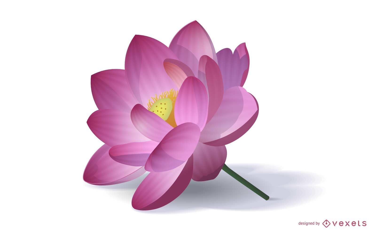Realistische Lotusblumenillustration