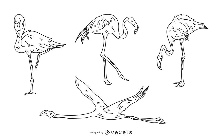 Flamingo Stroke Style Illustration Set Flamingo Stroke Style Illustration Set