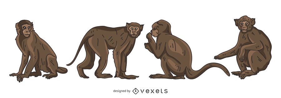 Brown Monkey Vector Set Brown Monkey Vector Set