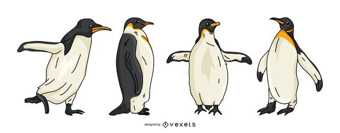 Conjunto de vectores de pingüino Conjunto de vectores de pingüino