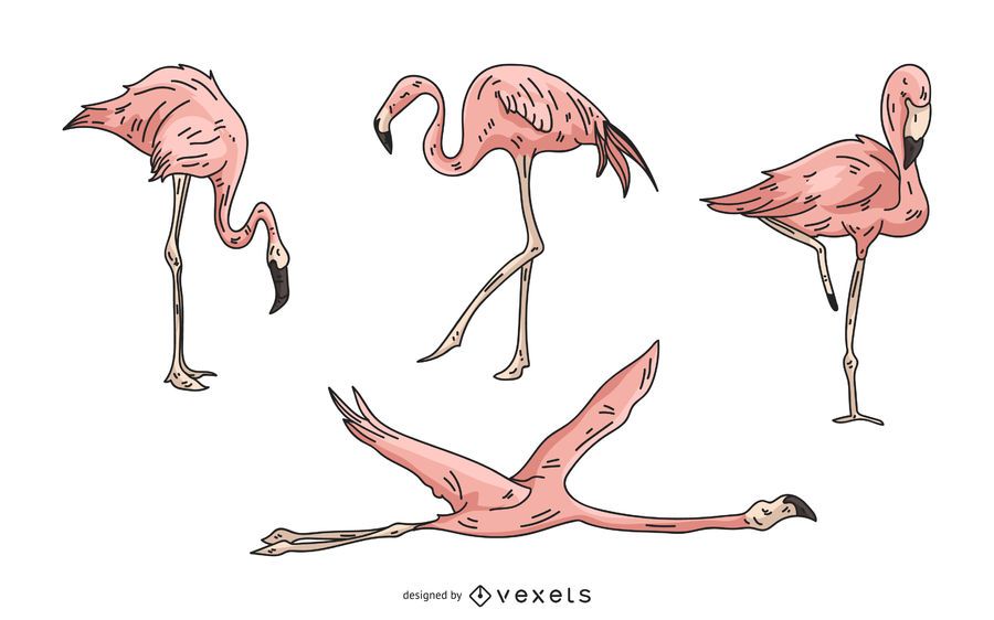 Rosa Flamingo-Illustrationssatz Rosa Flamingo-Illustrationssatz