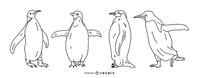 Penguin Stroke Illustration Set