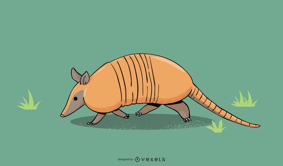 Armadillo ilustración diseño Armadillo ilustración diseño