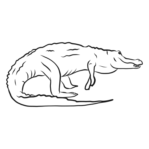 Alligator Crocodile Fang Tail Sketch - Transparent Png & Svg Vector File