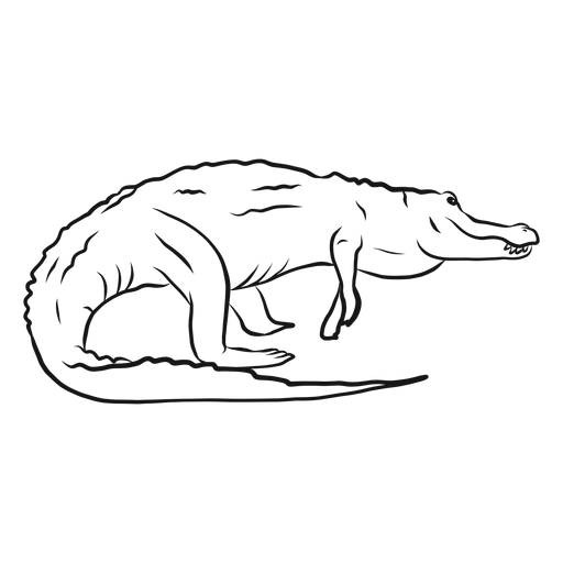 Alligator crocodile fang tail sketch PNG Design
