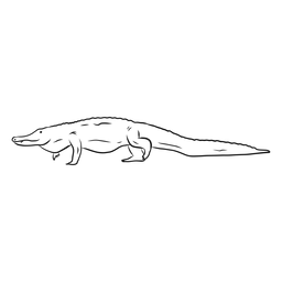 Desenho de cauda de crocodilo de jacaré Desenho PNG Transparent PNG