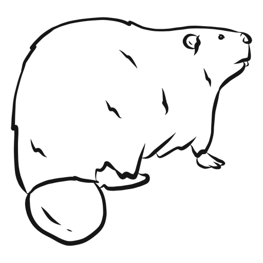 Beaver rodent fur tail sketch PNG Design