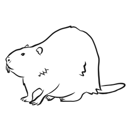 Beaver tail fur tooth rodent sketch PNG Design