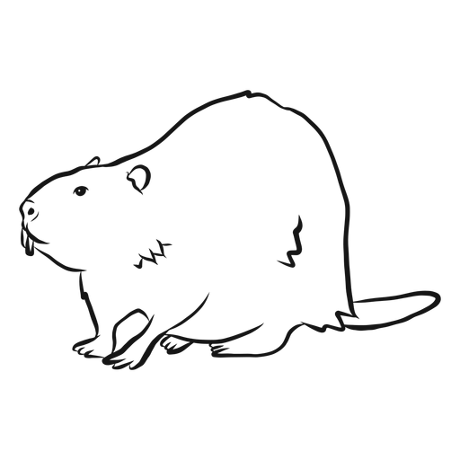 Beaver tail fur tooth rodent sketch PNG Design