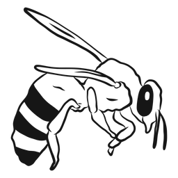 Bee stripe wing wasp sketch PNG Design Transparent PNG