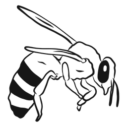 Esboço de vespa de asa listrada Desenho PNG