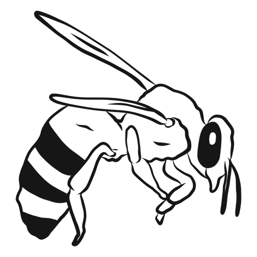 Abeja ala raya avispa boceto Transparent PNG Abeja ala raya avispa boceto Transparent PNG