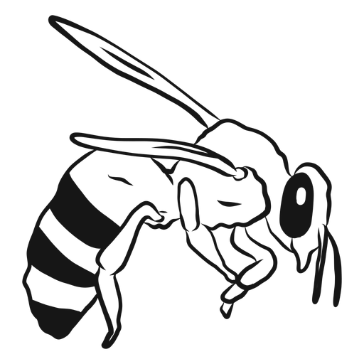 Bosquejo de avispa de ala de raya de abeja Diseño PNG
