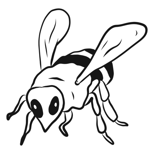 Bee wasp wing stripe sketch Transparent PNG Bee wasp wing stripe sketch Transparent PNG