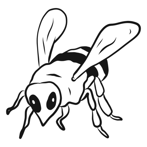 Bee wasp wing stripe sketch PNG Design