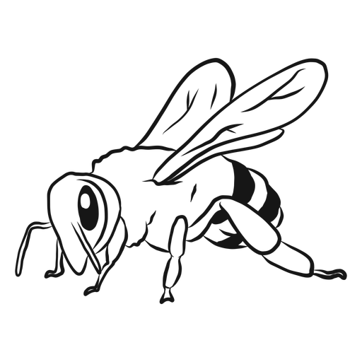 Bienenflügelstreifen-Wespenskizze PNG-Design