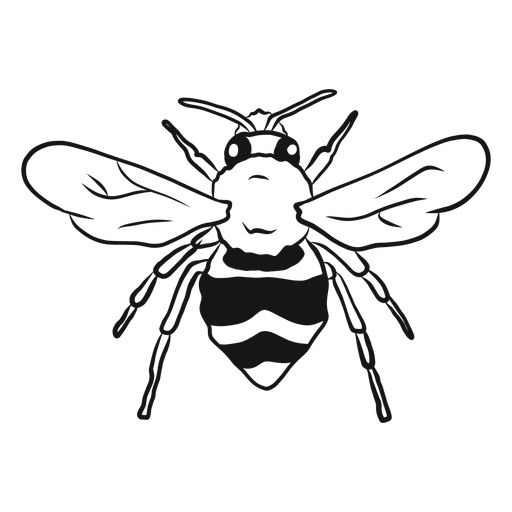 Abeja ala avispa raya boceto Transparent PNG Abeja ala avispa raya boceto Transparent PNG