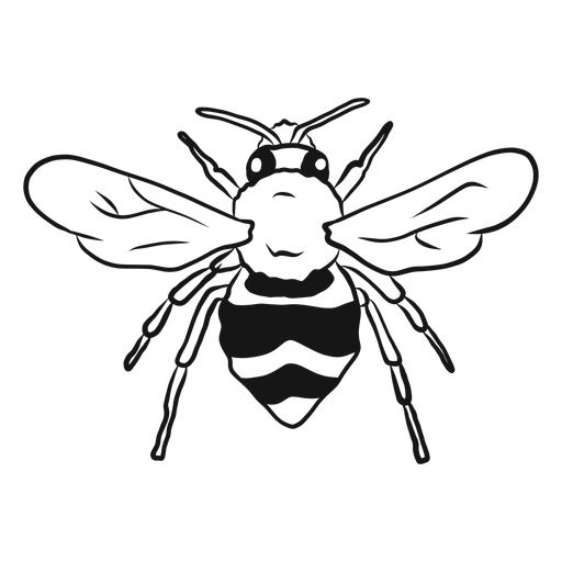 Bosquejo de raya de avispa de ala de abeja Diseño PNG