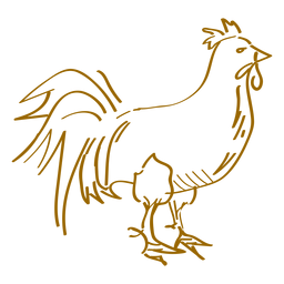 Cock rooster hand drawn Transparent PNG