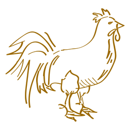 Galo galo desenhado à mão Desenho PNG