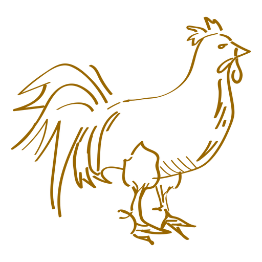 Cock rooster hand drawn