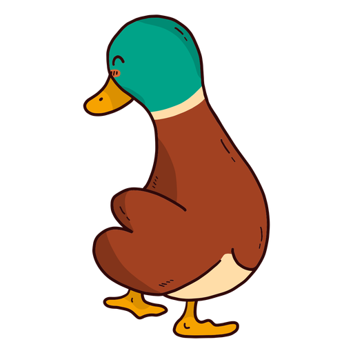 Cute drake duck wild duck beak flat PNG Design