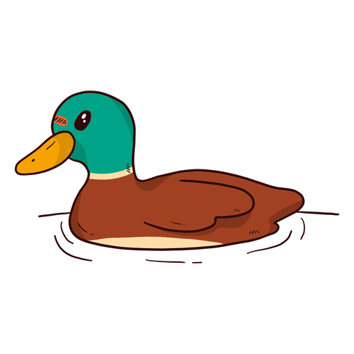 Cute drake duck wild duck beak water swimming flat PNG Design