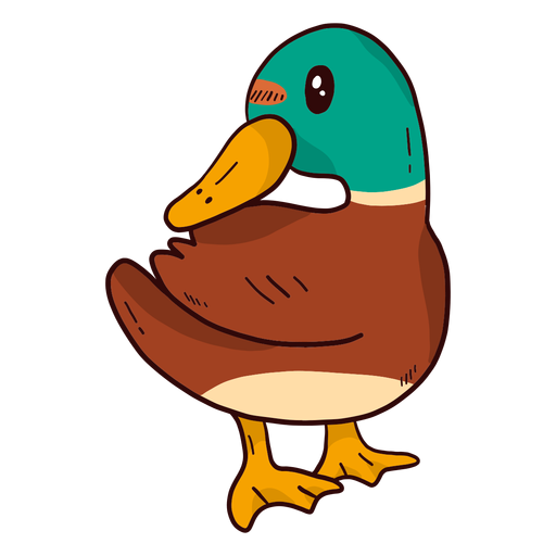 Cute drake duck wild duck beak wing flat PNG Design