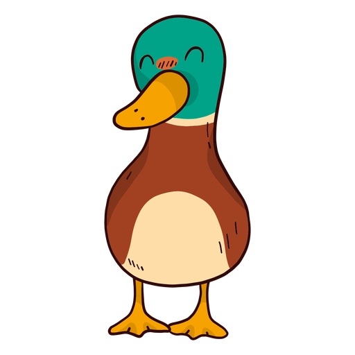 Cute duck drake wild duck beak flat PNG Design