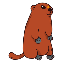Fofa marmota de porco-chão focinho cauda de pelo achatada Desenho PNG