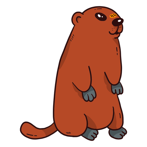 Fofa marmota de porco-chão focinho cauda de pelo achatada Desenho PNG