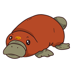 Cola de pato pico de ornitorrinco lindo Diseño PNG