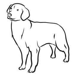 Desenho de orelha de cachorro Desenho PNG