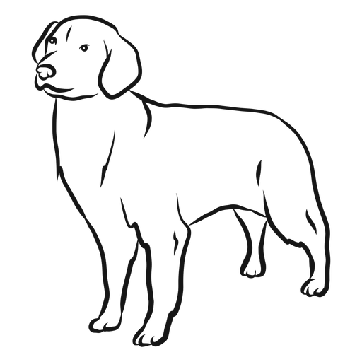 Dibujo de oreja de perro Diseño PNG