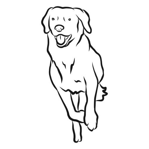 Download Dog Run Tongue Sketch Transparent Png Svg Vector File Yellowimages Mockups