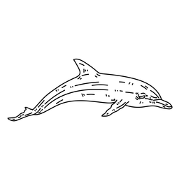 Línea de natación con cola de aleta de delfín Diseño PNG