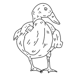 Pato drake pato salvaje pico línea Diseño PNG