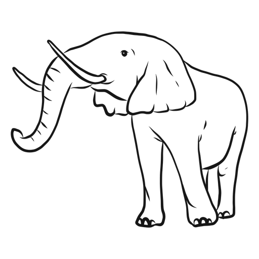 Bosquejo de tronco de marfil de oreja de elefante Diseño PNG