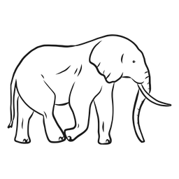 Bosquejo de cola de tronco de marfil de oreja de elefante Diseño PNG