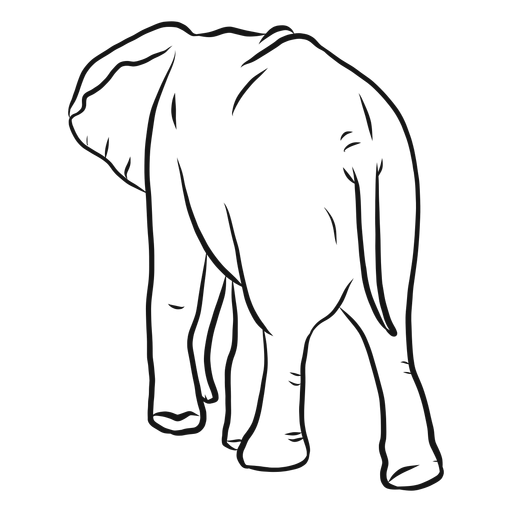 Dibujo de cola de oreja de elefante Diseño PNG