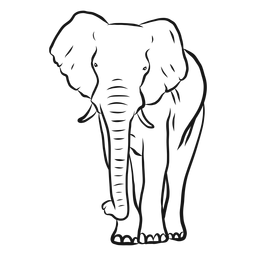 Bosquejo de tronco de oreja de marfil de elefante Diseño PNG