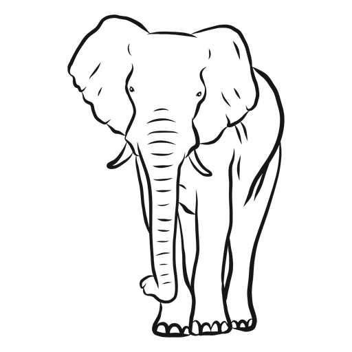 Elephant ivory ear trunk sketch PNG Design