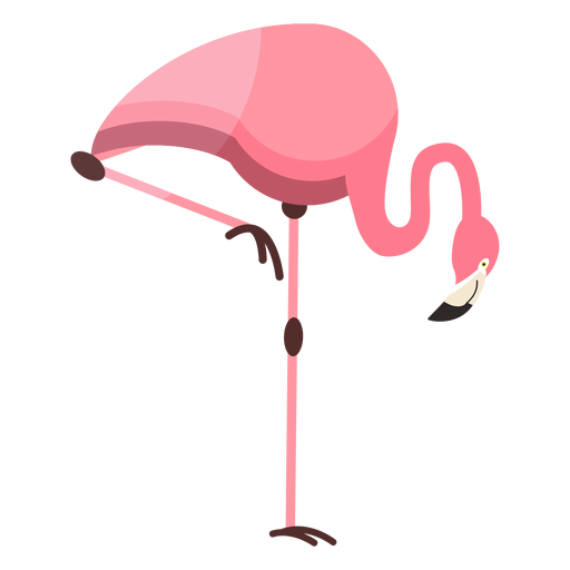 Flamingo beak pink leg flat PNG Design