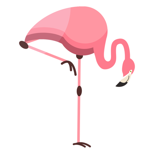 Flamingo bico rosa perna plana Desenho PNG